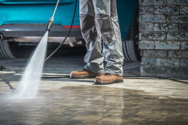 Best Winterizing Services  in Selma, TX