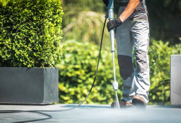 Best Warehouse Cleaning  in Selma, TX