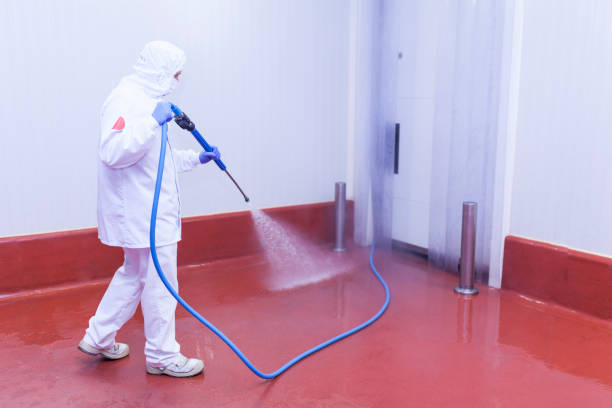 Best Rust Removal  in Selma, TX